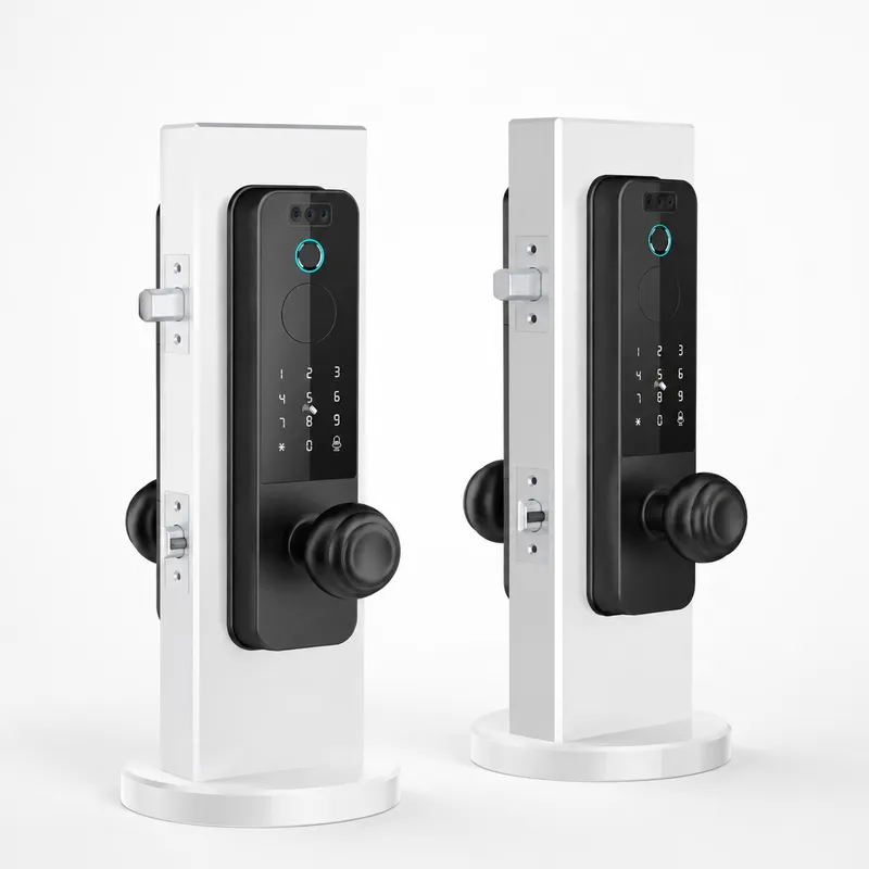 Smart Door Lock Wifi - Умный замок для деревянных дверей с