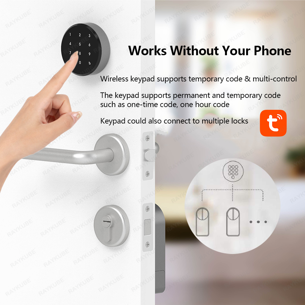 RAYKUBE A1 Pro Tuya BEL Компле – обзор и цена Smart Door Lock Wifi